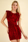 Velvet Holiday Dress